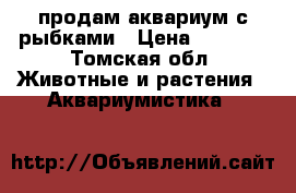 продам аквариум с рыбками › Цена ­ 6 000 - Томская обл. Животные и растения » Аквариумистика   